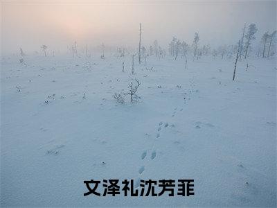 文泽礼沈芳菲全文免费阅读无弹窗大结局-文泽礼沈芳菲无弹窗阅读