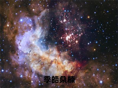 季皓桑楠小说全文免费阅读（季皓桑楠）全文免费阅读无弹窗_季皓桑楠小说全文免费阅读_笔趣阁（季皓桑楠）