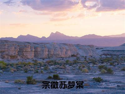 宗徵苏梦棠（宗徵苏梦棠)全文免费阅读无弹窗大结局_宗徵苏梦棠全文免费阅读_笔趣阁（宗徵苏梦棠）
