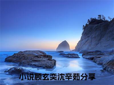顾玄奕沈辛茹（顾玄奕沈辛茹）免费阅读无弹窗大结局-顾玄奕沈辛茹免费阅读大结局最新章节列表_笔趣阁