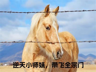 龙阙阙小说（逆天小师妹，带飞全宗门）全文免费阅读_（逆天小师妹，带飞全宗门）龙阙阙最新章节列表笔趣阁