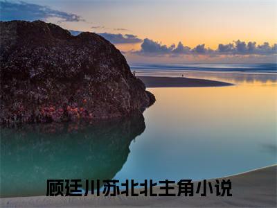 顾廷川苏北北(顾廷川苏北北）小说全文免费阅读无弹窗大结局_顾廷川苏北北全文免费阅读