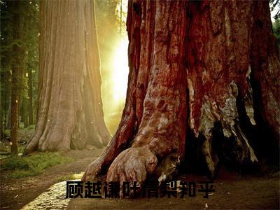 顾越谦叶清梨（顾越谦叶清梨)全文免费阅读无弹窗大结局_顾越谦叶清梨全文免费阅读_笔趣阁（顾越谦叶清梨）