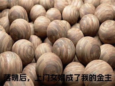 落魄后，上门女婿成了我的金主多人推荐-好看的小说陆谨言完整版免费阅读