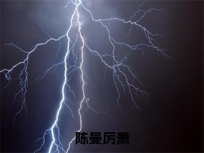 陈曼厉萧无删版小说阅读-陈曼厉萧全文无弹窗试读