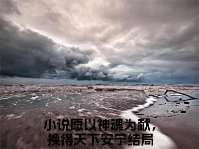愿以神魂为献，换得天下安宁全文免费阅读-（卿云殊楚长暮）小说全文免费阅读正版无弹窗