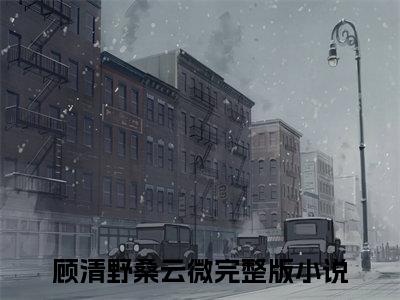 顾清野桑云微无弹窗热文（顾清野桑云微）在线阅读-顾清野桑云微小说在哪里可以看