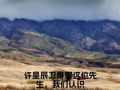 这位先生，我们认识全文免费阅读无弹窗大结局-许星辰卫景曜小说在哪里可以看