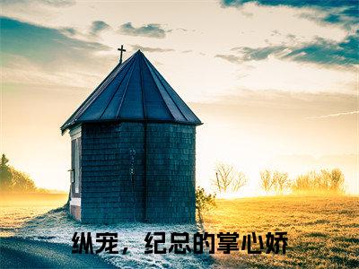 纪修凛阮言（纵宠，纪总的掌心娇）全文免费阅读无弹窗大结局_纪修凛阮言全文在线阅读无弹窗