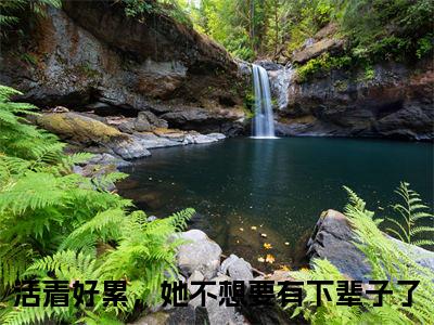 活着好累，她不想要有下辈子了（盛云娇贺墨琛）多人推荐阅读-精选小说（盛云娇贺墨琛）完整版免费阅读