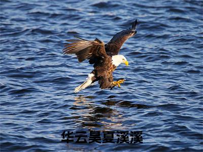 华云昊夏溪溪（华云昊夏溪溪）全文免费阅读最新章节大结局_华云昊夏溪溪最新章节列表_笔趣阁
