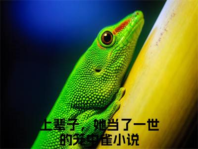 上辈子，她当了一世的笼中雀(姜冰沐裴昊)全文免费阅读大结局_(姜冰沐裴昊免费阅读)上辈子，她当了一世的笼中雀全文在线完本阅读
