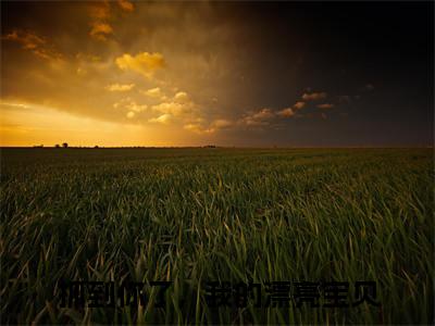 小说江星檀弗兰穆赫全文免费阅读无弹窗大结局_（抓到你了，我的漂亮宝贝）全文在线阅读