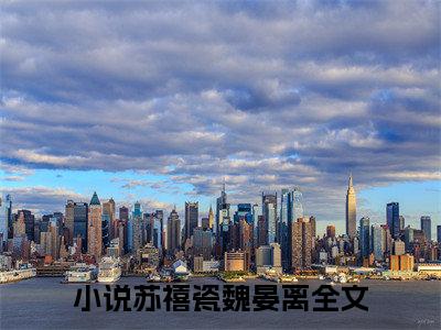 苏禧瓷魏晏离(苏禧瓷魏晏离)全文免费阅读无弹窗大结局_苏禧瓷魏晏离(苏禧瓷魏晏离小说全文大结局)全章节免费在线阅读（苏禧瓷魏晏离）
