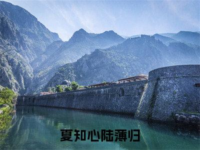 离婚后我带千亿家产杀回来了在线阅读（夏知心陆薄归小说）全文免费阅读无弹窗大结局_夏知心陆薄归免费最新章节列表_笔趣阁（离婚后我带千亿家产杀回来了小说）