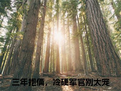 三年抱俩，冷硬军官别太宠全文免费阅读无弹窗大结局_（林阮周傅川阅读无弹窗）林阮周傅川最新章节列表_笔趣阁