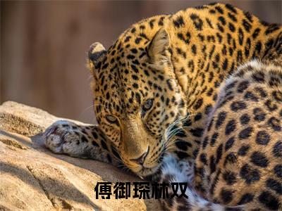 小娇娇一哭，禁欲傅总抱着哄（傅御琛林双）全文免费阅读无弹窗_傅御琛林双最新小说_笔趣阁（小娇娇一哭，禁欲傅总抱着哄）