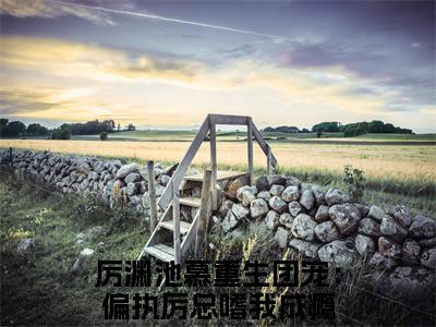 厉渊池慕小说（重生团宠：偏执厉总嗜我成瘾)全文免费阅读无弹窗大结局_厉渊池慕完整版最新阅读_笔趣阁（重生团宠：偏执厉总嗜我成瘾）