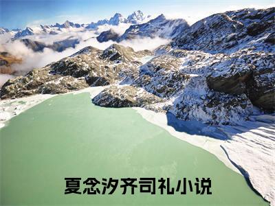 夏念汐齐司礼小说全文在线赏析 夏念汐齐司礼小说免费阅读全文大结局