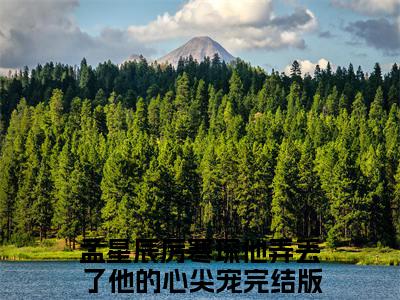 孟星辰厉寒琛(他弄丢了他的心尖宠)全文免费阅读无弹窗大结局_(他弄丢了他的心尖宠)小说免费阅读最新章节列表