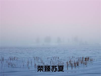荣臻苏夏超受欢迎小说-荣臻苏夏全文在线赏析