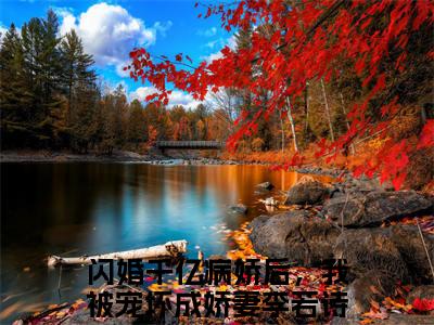 闪婚千亿病娇后，我被宠坏成娇妻李若诗最新章节免费阅读-闪婚千亿病娇后，我被宠坏成娇妻李若诗小说排行榜top1小说全文阅读