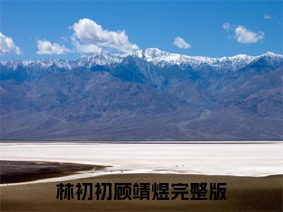 林初初顾靖煜（林初初顾靖煜)全文免费阅读无弹窗大结局_林初初顾靖煜最新章节列表_笔趣阁