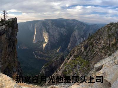 白月光他是顶头上司小说（颜念周然）无弹窗大结局-颜念周然（白月光他是顶头上司）完整版免费阅读