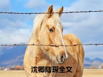 沈卿陆琛小说（沈卿陆琛）全文免费阅读无弹窗大结局_(沈卿陆琛小说)沈卿陆琛小说免费阅读无弹窗最新章节列表_笔趣阁（沈卿陆琛）
