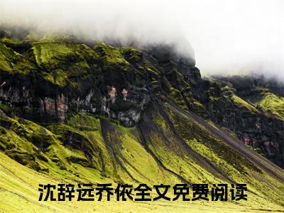 沈辞远乔依（沈辞远乔依）全文免费阅读大结局-沈辞远乔依小说全文免费阅读最新章节列表