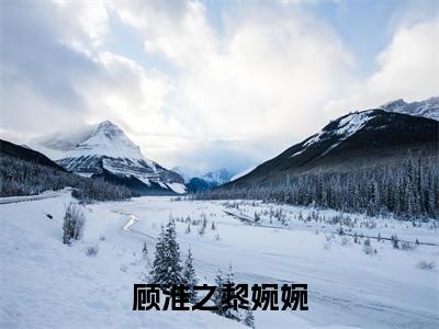 顾淮之黎婉婉完整版最新小说大结局-顾淮之黎婉婉无删版阅读