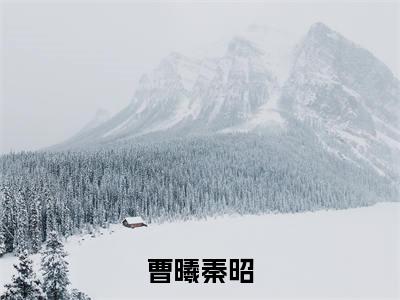 穿越捡来的相公五岁半（曹曦秦昭）小说全文免费阅读无弹窗大结局_（曹曦秦昭）穿越捡来的相公五岁半最新章节列表（穿越捡来的相公五岁半）