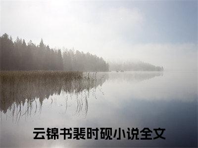 （云锦书裴时砚）一夜贪欢，裴总又来要名分了全文完整版-2023最新热门榜单小说云锦书裴时砚（一夜贪欢，裴总又来要名分了）