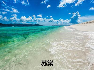 苏棠（被豪门父母找回后，我火遍全网全章节完整版）免费阅读_（被豪门父母找回后，我火遍全网）苏棠全文无删减免费阅读