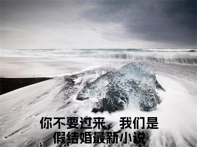 陆墨尘苏小影精选热门小说 你不要过来，我们是假结婚已完结全集大结局
