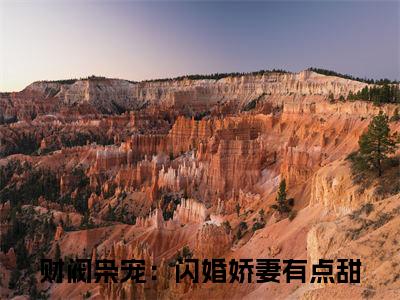简漾陆易琛（财阀枭宠：闪婚娇妻有点甜）小说多人阅读-小说财阀枭宠：闪婚娇妻有点甜在哪里看免费