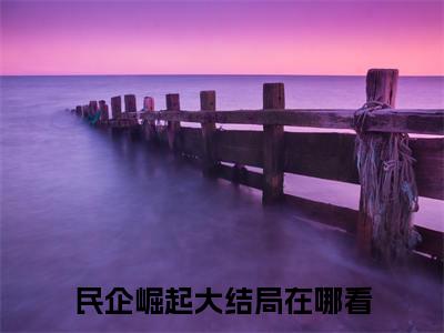 民企崛起（陈浩全文阅读） 陈浩新书热荐免费小说