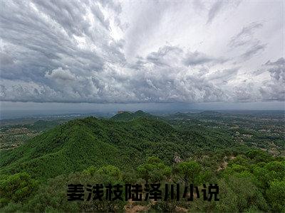 姜浅枝陆泽川无删版小说阅读-姜浅枝陆泽川全文无弹窗试读