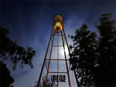 谢凝（末世从逃生开始）最新免费阅读-谢凝小说在线阅读