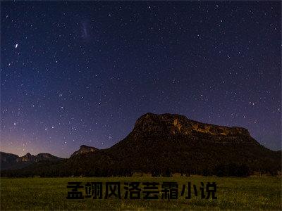 孟翊风洛芸霜无弹窗最新章节列表_笔趣阁
