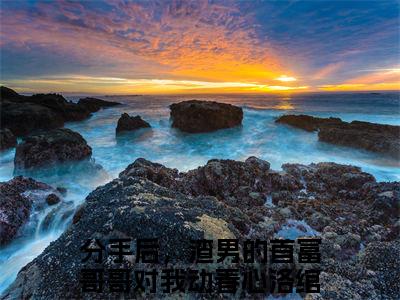 洛绾池砚舟：分手后，渣男的首富哥哥对我动春心阅读无弹窗大结局_（洛绾池砚舟阅读无弹窗）最新章节列表_笔趣阁（洛绾池砚舟）