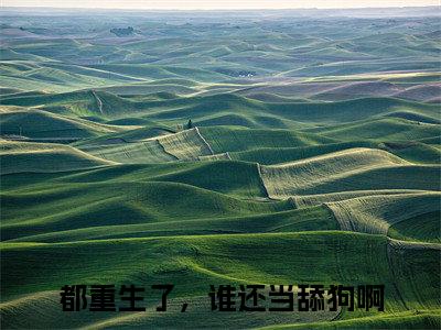 都重生了，谁还当舔狗啊小说全文免费阅读（赵川）全文免费阅读无弹窗大结局_（都重生了，谁还当舔狗啊）赵川结局最新章节列表_笔趣阁（赵川）