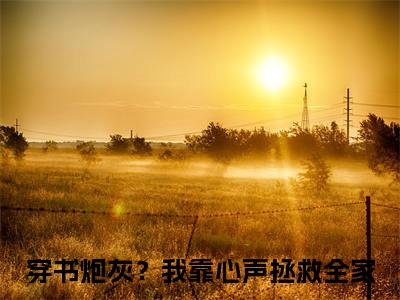 穿书炮灰？我靠心声拯救全家（陆朝朝陆远泽）免费小说完整版阅读-（穿书炮灰？我靠心声拯救全家）最新章节在线阅读