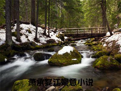萧承宴江婉意（萧承宴江婉意）免费阅读无弹窗大结局-萧承宴江婉意（最新全章节大结局）全文阅读