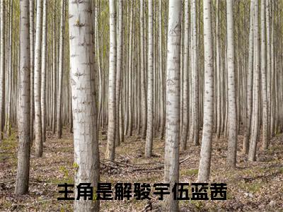 解骏宇伍蓝茜小说好看吗 解骏宇伍蓝茜热门推荐小说（解骏宇伍蓝茜）全章节阅读_笔趣阁