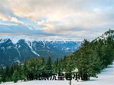 2023新上热文傅北辰沈星若在线免费读-傅北辰沈星若的小说（傅北辰沈星若）完整版免费读全文