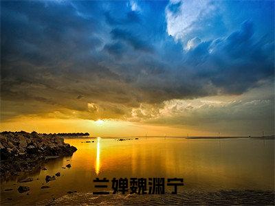 兰婵魏渊宁(兰婵魏渊宁)全文免费阅读_兰婵魏渊宁（兰婵魏渊宁在线小说免费阅读）全文阅读完整版