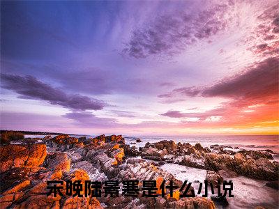 宋晚陆景寒在线阅读全文免费阅读无弹窗大结局_宋晚陆景寒最新章节列表_笔趣阁