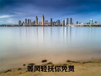 温清瑶褚云衍等风轻抚你精彩章节在线阅读-等风轻抚你美文欣赏