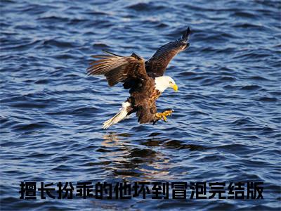 擅长扮乖的他坏到冒泡全本资源（沈烬苏夏禾）全文免费阅读无弹窗大结局_沈烬苏夏禾最新章节列表（擅长扮乖的他坏到冒泡）